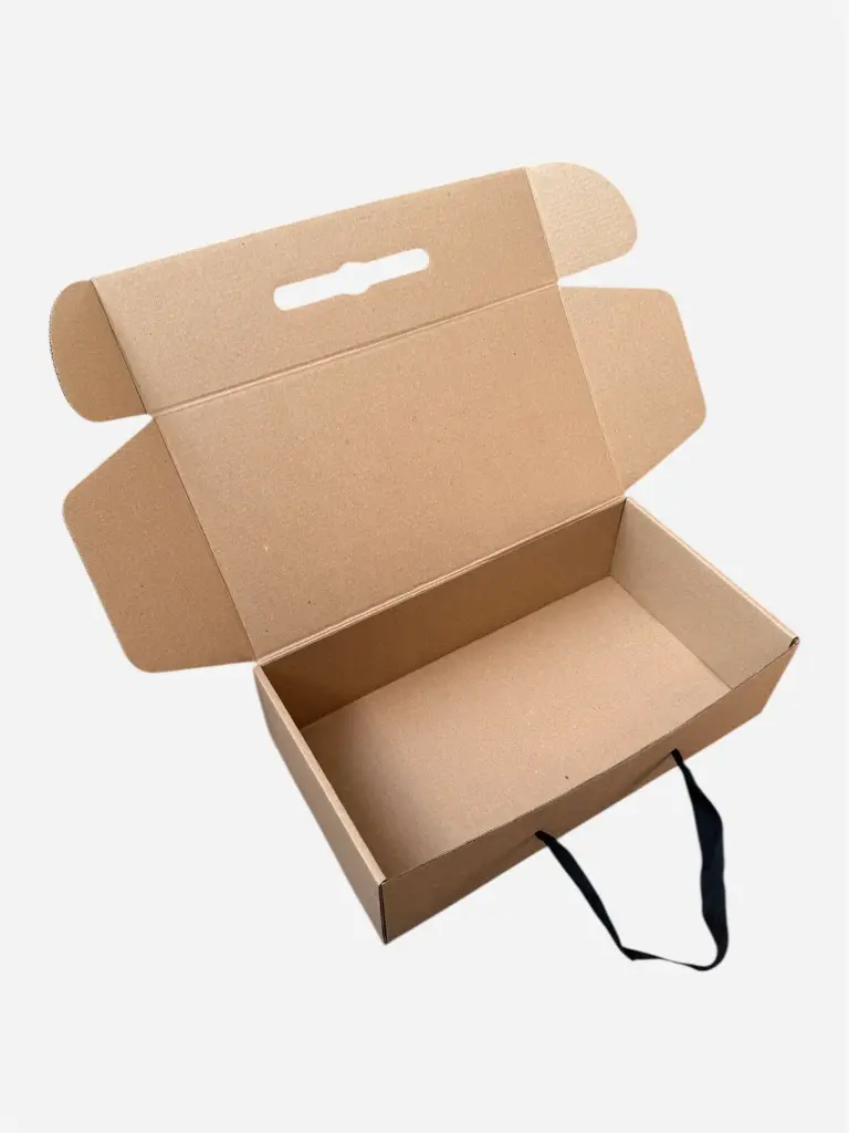 Caja bolsa 2B SIN DIVISION .webp