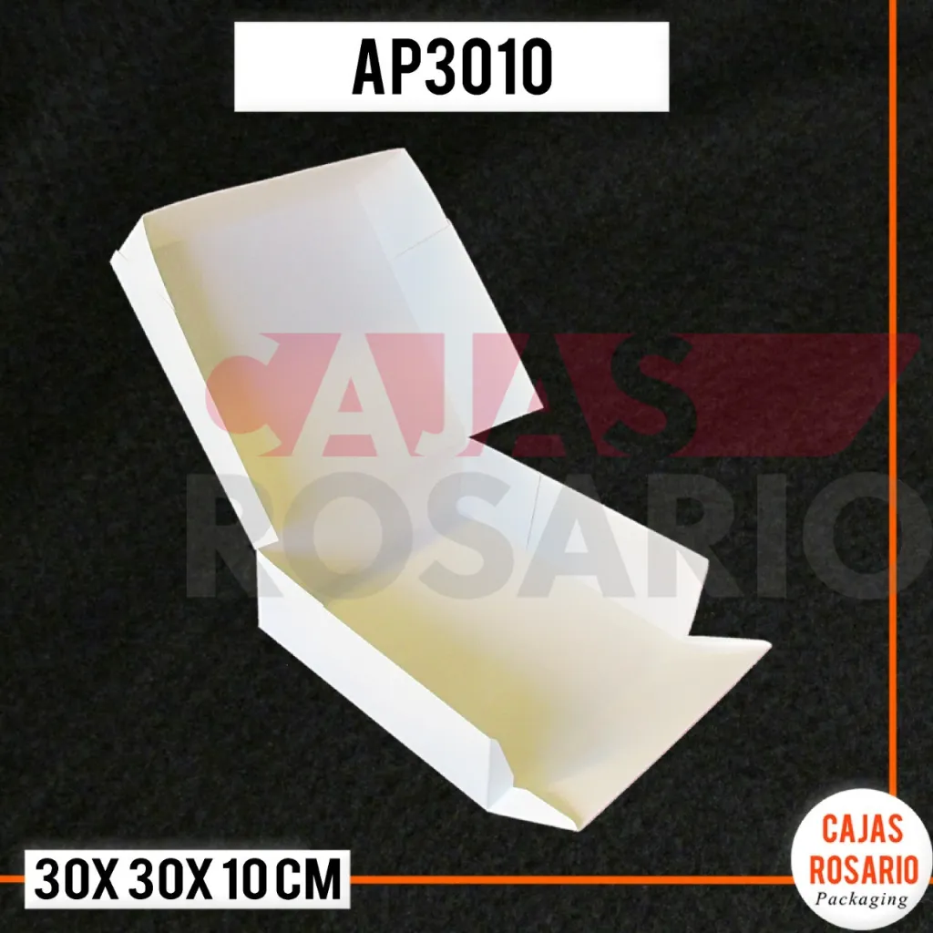 ap3010-2.webp