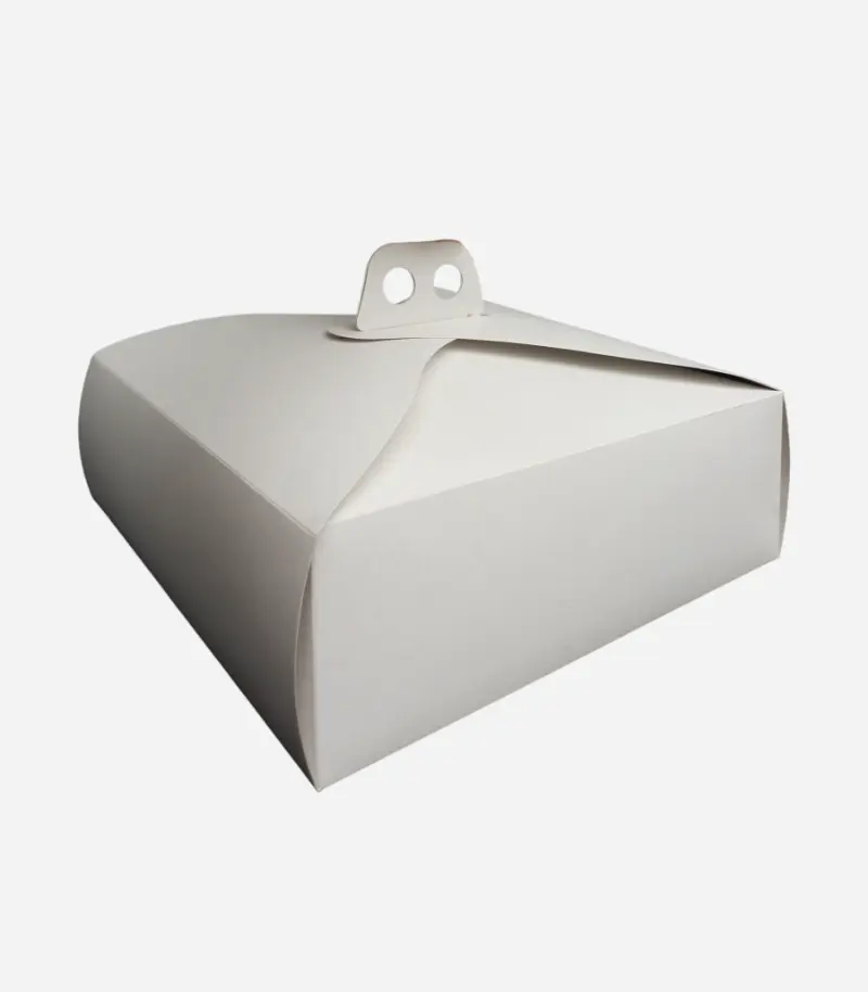 [Maletin 25 10cm] Caja Maletin 25x25cm  (ME2510/15) (10 cm)