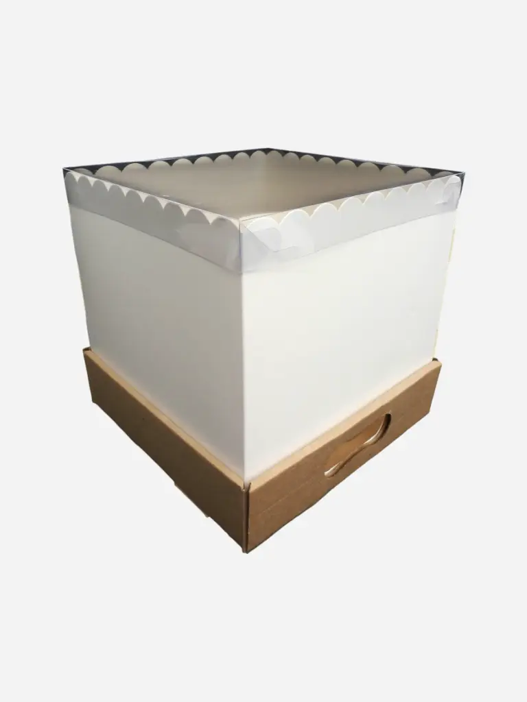 [MID 25 TAPA PVC] Caja Mid 30x30 cm Tapa pvc (25 cm)